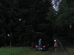 packing up inside of the forest